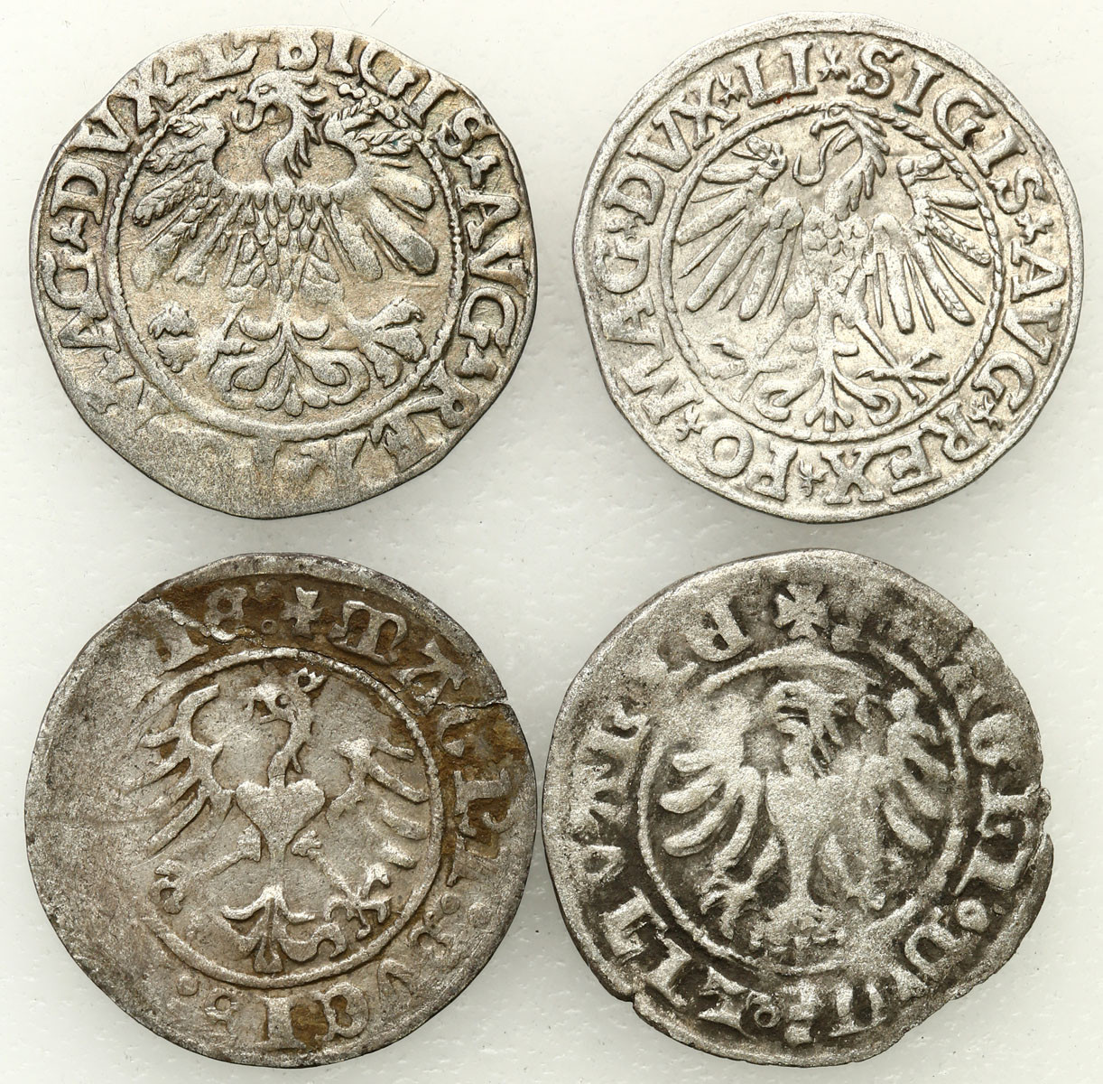Aleksander Jagiellończyk, Zygmunt I Stary, Zygmunt II August. Półgrosz 1513, 1547, 1559